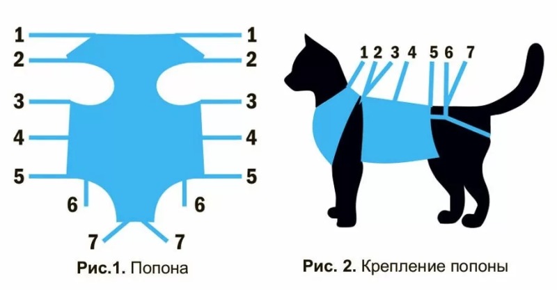 как завязывать попону